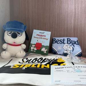 Super7 Peanuts Olaf Super Super Plush with Accessories
